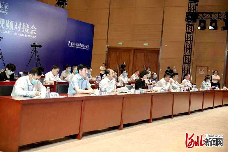廊坊市与德国企业举行合作视频对接会
