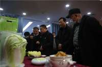 河北平乡县举办滏河贡白菜品鉴暨富硒清代贡品新闻发布会
