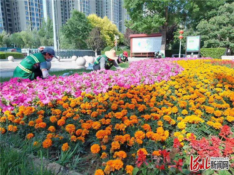 燕郊高新区精心做好园林绿化养护