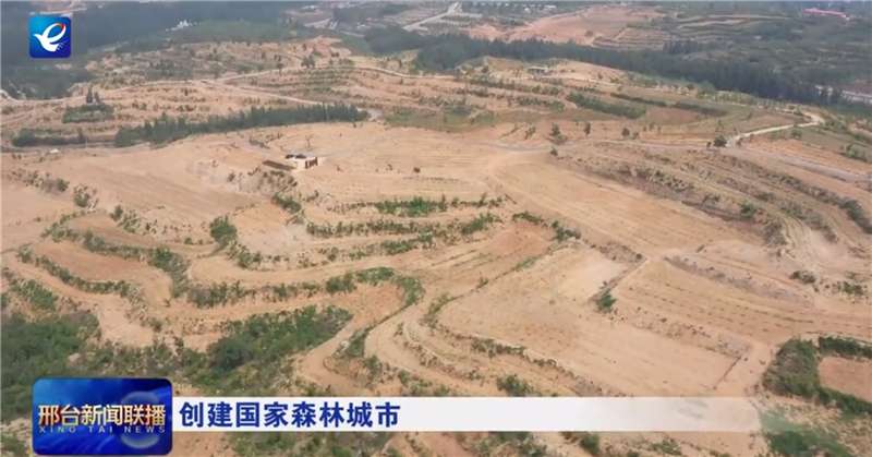 邢台市全面推进森林城市创建 不断厚植生态底色