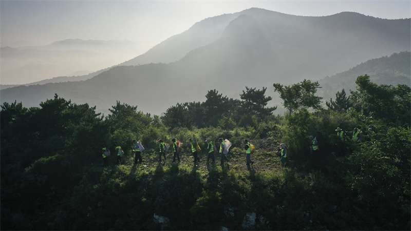 河北遵化：雨季荒山造林忙