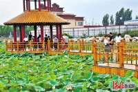 河北故城：运河串起美丽人文风光