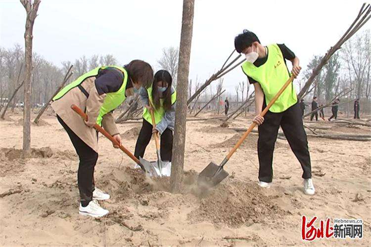 永清县一季超额完成全年造林任务