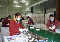 平泉市工厂化培育食用菌促进“兴业富民”