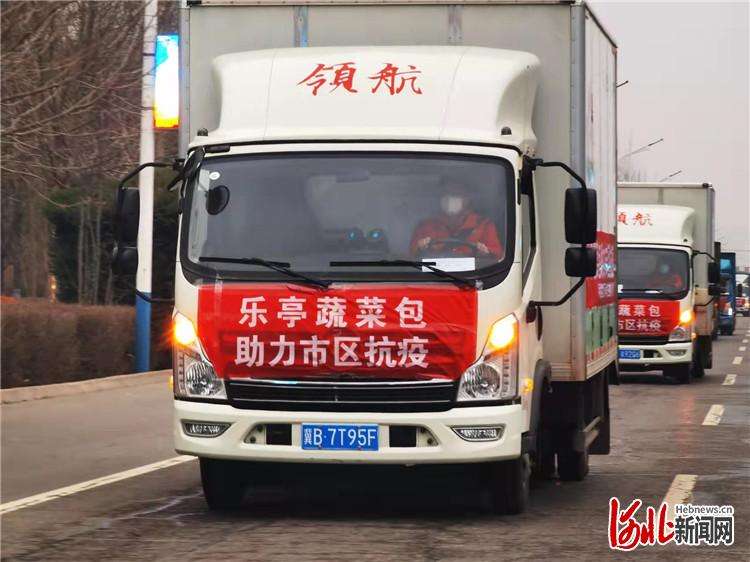 11万斤送万家 乐亭“蔬菜包”温暖唐山市区困难居民