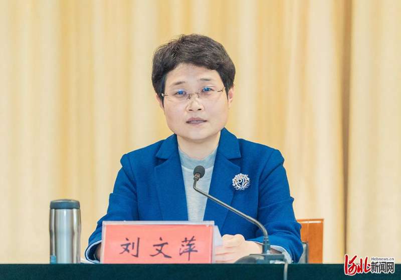 妇联在邯郸河北乡村振兴巾帼行动推进会