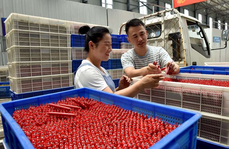 河北邢台市：“90后”电商达人返乡创业记