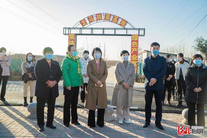 妇联在邯郸河北乡村振兴巾帼行动推进会