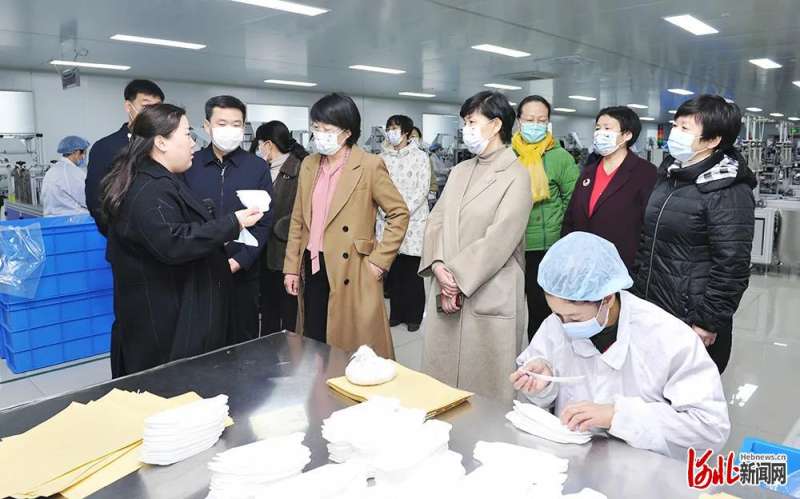 妇联在邯郸河北乡村振兴巾帼行动推进会