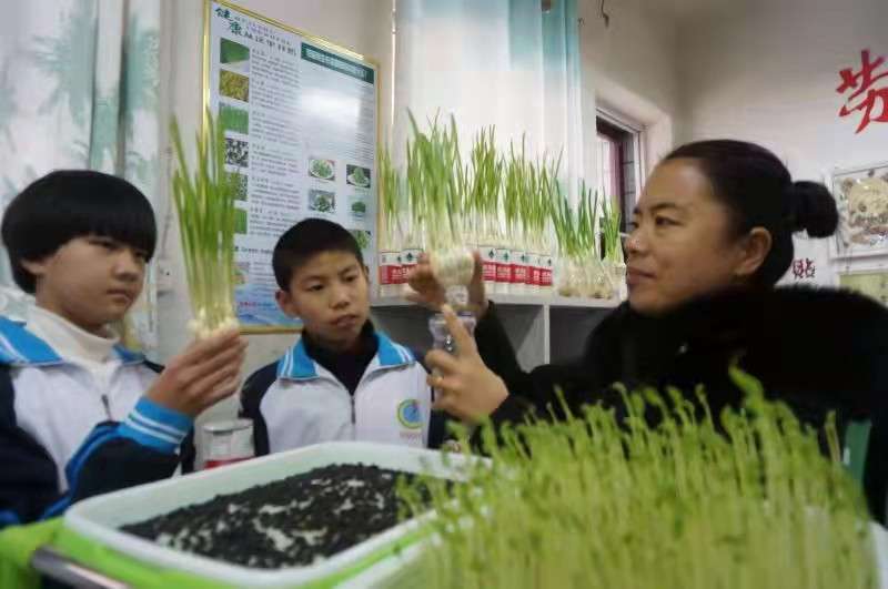 河北临城：“双减”落地，构建寄宿制学校新格