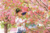 厂：海棠烂漫 美不胜收