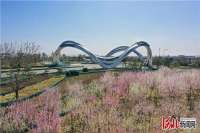 “凤凰”展翅 “临空”腾飞 廊坊临空经济区聚焦高端高新全力推进项目