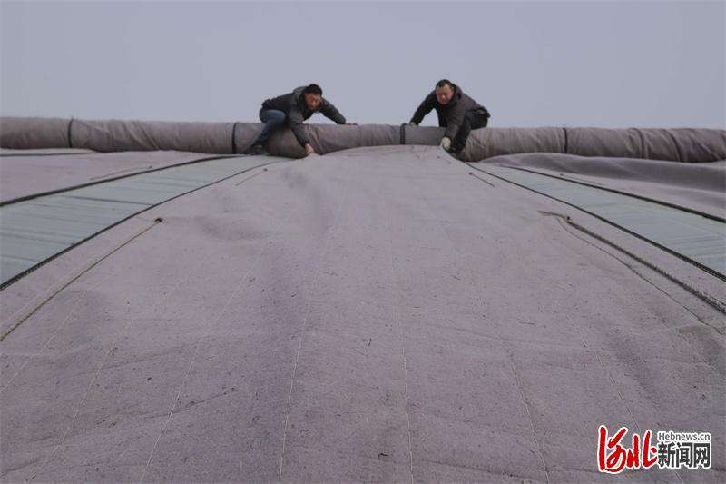 河北遵化：加固蔬菜暖棚  应对“倒春寒”