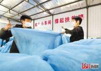 衡水阜城有序推进龙头企业、车间复工复产