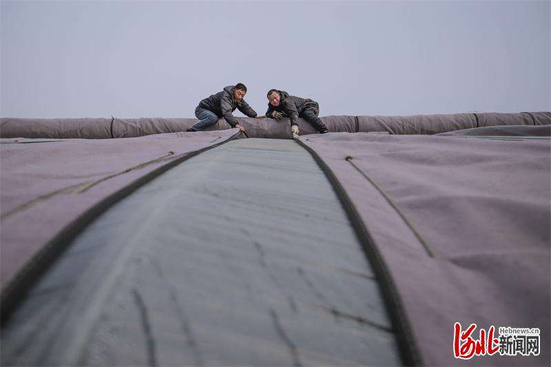 河北遵化：加固蔬菜暖棚  应对“倒春寒”