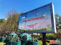 廊坊开展全民安全教育日宣传周活动