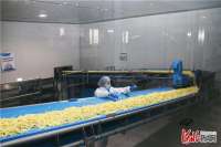 张家口察北管理区：绿色品牌让农牧“生金”
