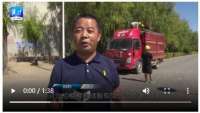 【看“粮”策】河北：粮企收储夏粮忙 科技呵护每粒粮