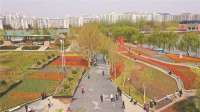 廊坊：“郁见花开”香满园