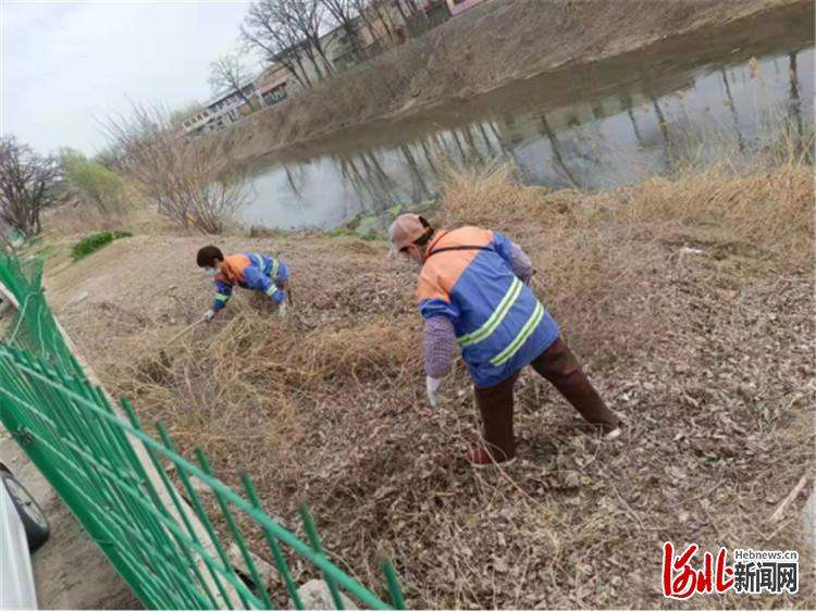 廊坊区积极开展河渠垃圾清理整治