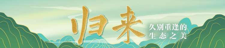 归来·久别重逢的生态之美①｜请“栎”回家