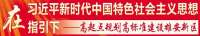 《河北雄安新区启动区控制性详细规划》《河北雄安新区起步区控制性规划》公示引发专家热议