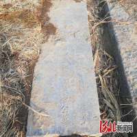 父子两进士 两代皆廉吏 河北隆尧发现清代父子进士碑