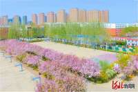 燕京理工学院云直播赏海棠 数百件师生作品映衬花间美不胜收