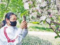 廊坊：城市“重启” 共赴春光