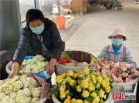 三河：150万支玫瑰花供应北京鲜花市场