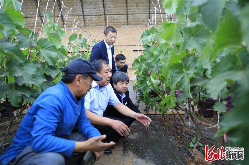 承德县热河农商银行“三聚焦”推动为民服务质量