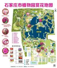@所有人！石家庄市植物园门票优惠啦！成人票5元