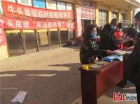秦皇岛市北戴河区牛头崖镇：让宪法“飞入寻常百姓家”