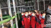 秦皇岛市北戴河区西山小学组织开展生态保护普法宣传研学活动
