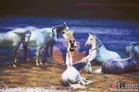 衡水：“文旅融合”为全域旅游画卷添彩
