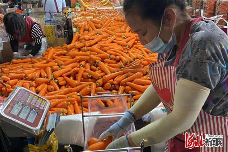加快蔬菜产业集展 廊坊打造“两带一圈”特色优势产业
