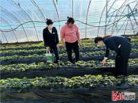 三河农商银行搭建三个平台 防疫不误春耕