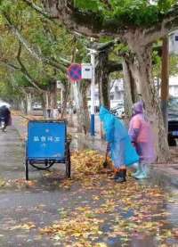 闻令而动 河北邯郸全力应对雨雪天气