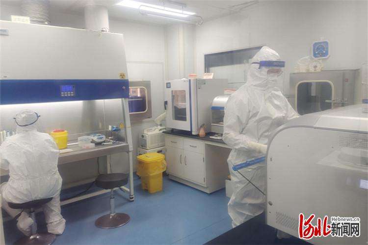 核酸检测员：与病毒近距离“对峙”的“隐形战士”