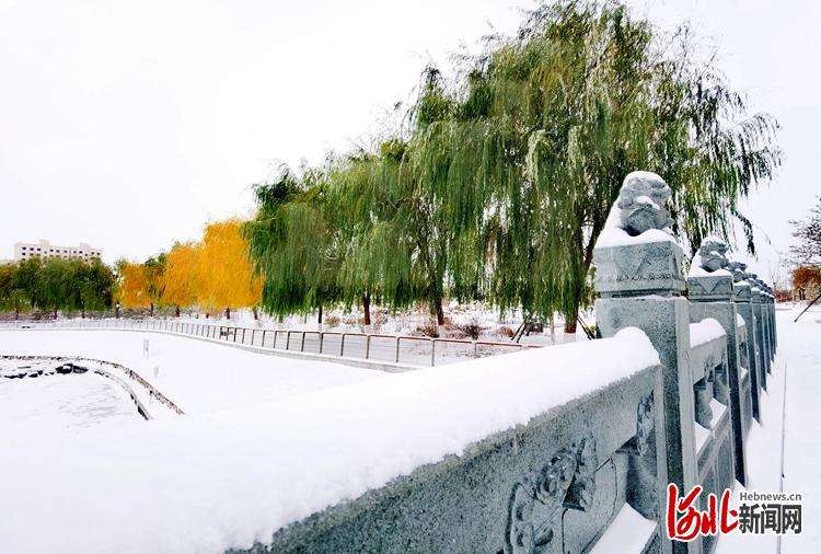 河北阳原：雪后景色美如画