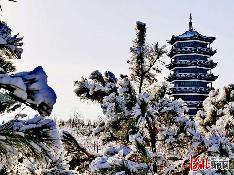 河北阳原：雪后景色美如画