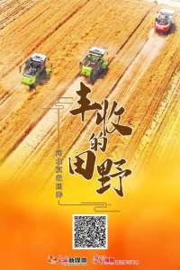 丰收的田野——河北夏收回眸