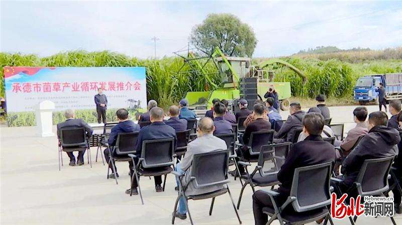 承德市首届菌草产业循环发展推介会在承德县举行