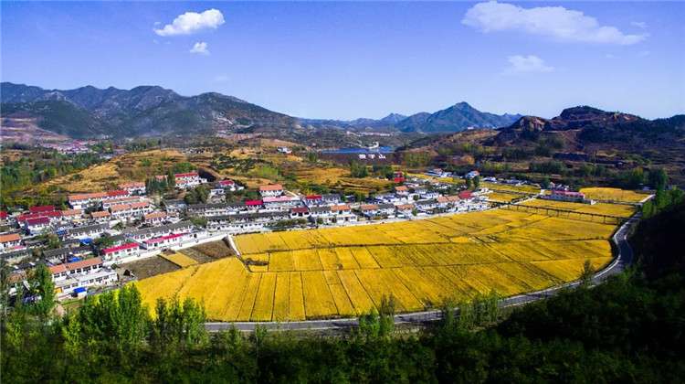 迁安农业农村：新的赶考路上绘就最美“乡村画卷”