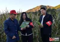 承德围场90后夫妻假期坚守林海
