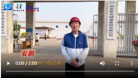 国粮策 | 河北夏收进入尾声，新麦开秤颗粒归仓