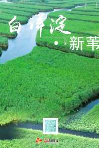 长城视频丨白洋淀·新苇