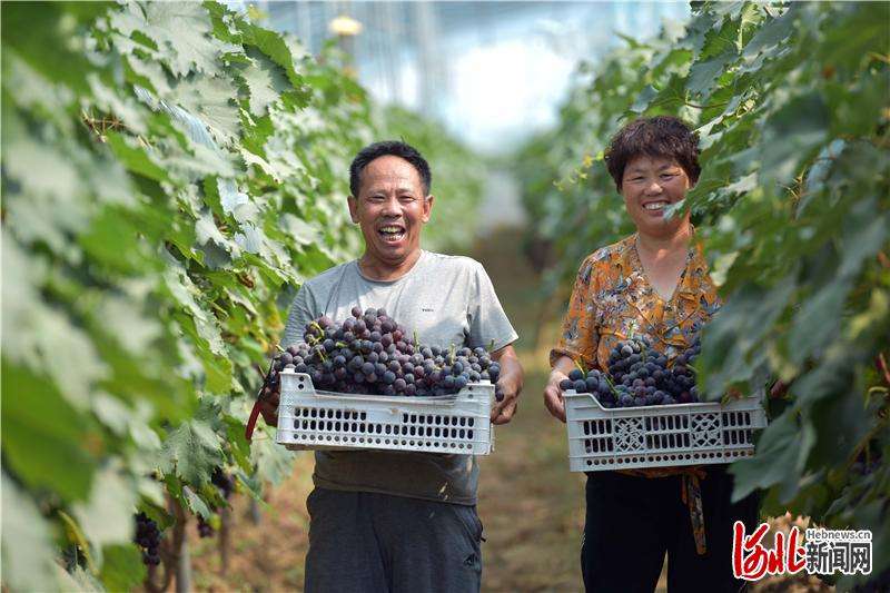 河北临城：农旅融合引客来