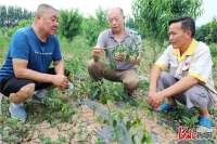 河北平乡：基层科普带动农民增收