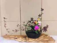 “非遗面对面 文脉薪火传” 燕赵插花走进龙湖公园